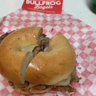 Oriole on a plain bagel