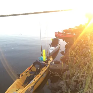 The Hobie family lined up ready for action Hobie Outback Hobie Revolution Hobie Sport