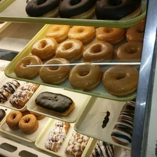 Donuts!!! APRIL &amp; PONCHO were awesome donut aficionados!!!