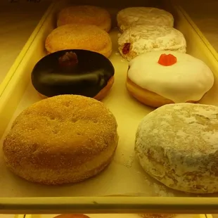 Donuts!!! APRIL &amp; PONCHO were awesome donut aficionados!!!