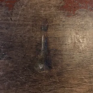 What is left of the cat on the bar at BullsHorn.