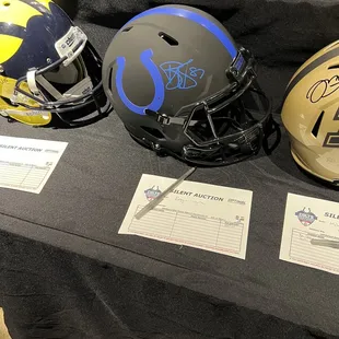 My dream gift! I love this helmet and it&apos;s my favorite player ever. They have a bunch of different items up for auction like this.