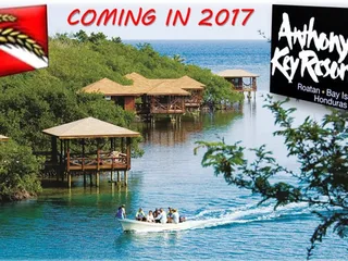 Amber Waves Diving Company