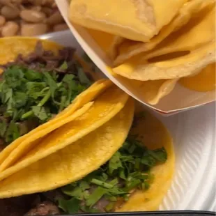 Barbacoa tacos with cheese nachos