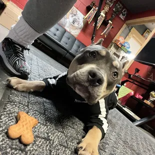 Yolanda and Wedo are the best! Thanks for my treat!!! @KenzoKoji29!