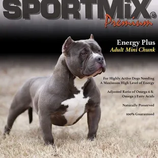Sportmix premium dog food.  No recalls.