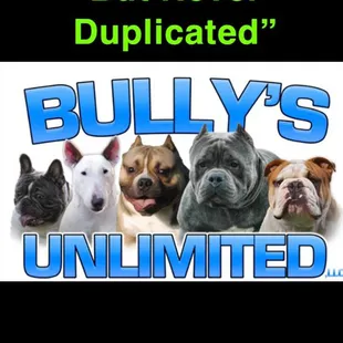 Bully's Unlimited, LLC.