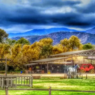 Pavilion for Wedding and Outings