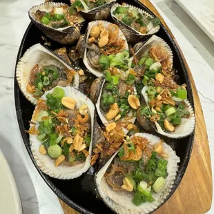 oysters and mussels, mussels, shellfish, food, oysters