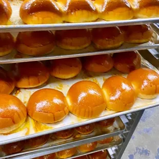 Buns from scratch!