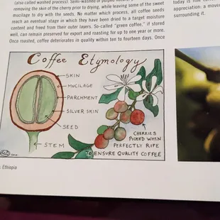 Ethiopian coffee lesson. This book is for sale here!