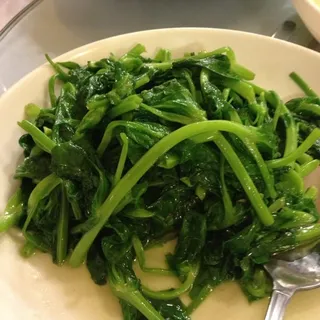Pea Shoots