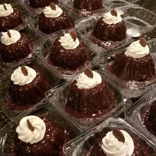 Petite size Chocolate Hazelnut