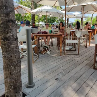 people sitting at tables under umbrellas
