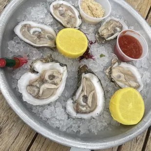 Oysters