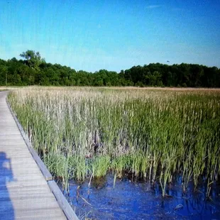 Water bridges... Lots of interesting terrane.