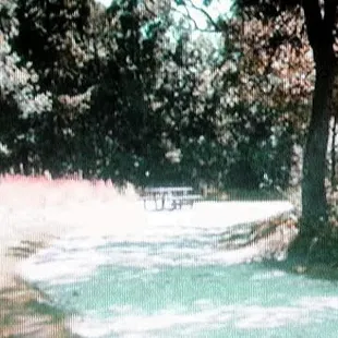 Back on the windy...hilly... nicely maintained bike trail.