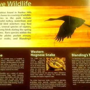 Nice nature stops... Overlooks and info boards.