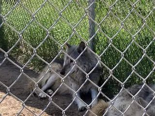 Wildlife Science Center