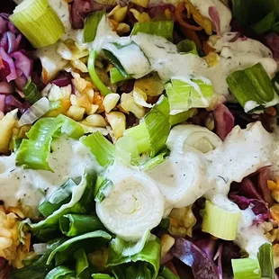 Red cabbage slaw pikliz