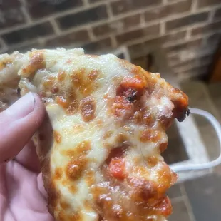 So I thought the Pizza being mangled was bad but I grabbed one of the slices that had no crust and found a hair on it