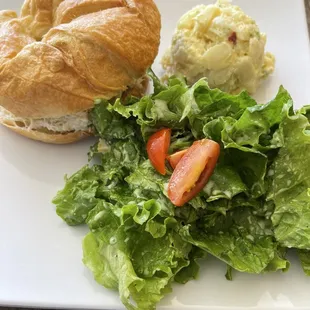 Chicken Salad with potato salad