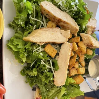 Caesar Regular