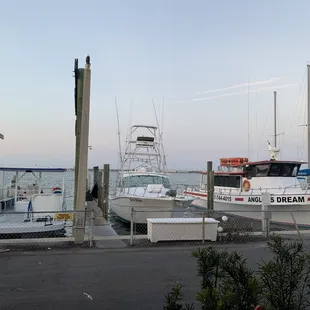 boats docked at a marina
