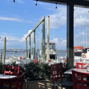 View from the back dining area