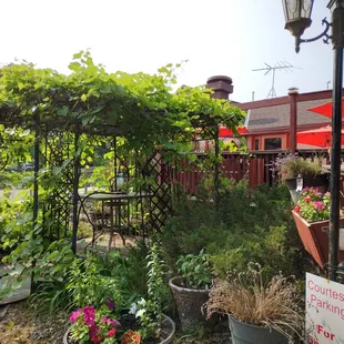 a patio area with flowers and plants
