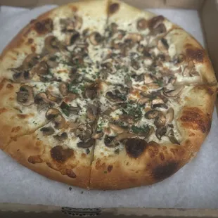 truffle pizza added mushrooms, 10/10! Ridiculously good