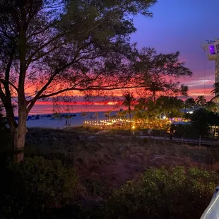 Patio view