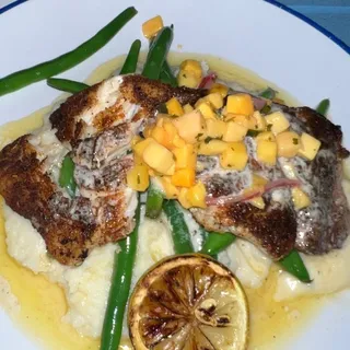 Florida Gulf Grouper