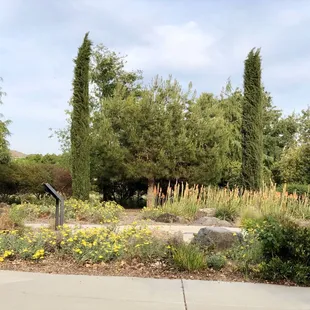 05/08/2020: Pretty garden