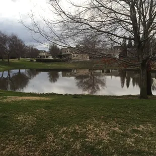 Park flood after a good rain storm