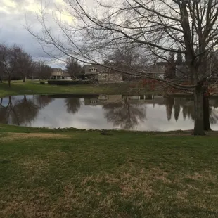 Flooded park