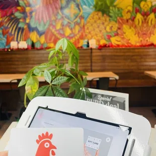 burritos and wraps, interior