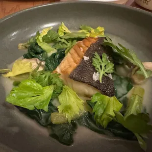 Black Cod