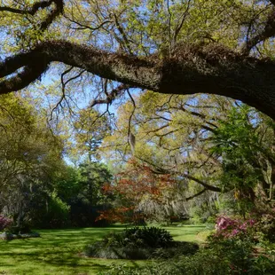 Beautiful green space at Burden Museum &amp; Gardens.