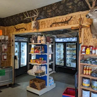 a deer head mounted on the wall