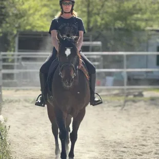 The outdoor arena at Reinstein's