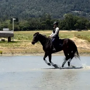 Cross country schooling at Woodside