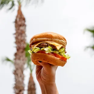 food, burger, burgers