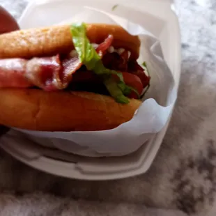 a hand holding a sandwich in a styrofoam container