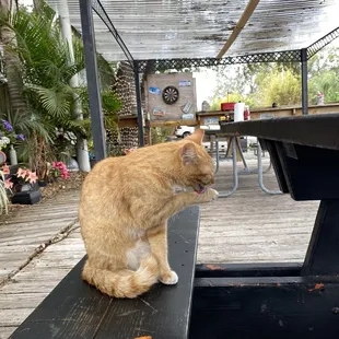 Staff member