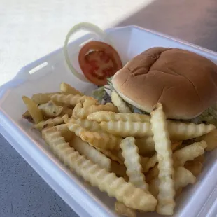 Plain burger and fries