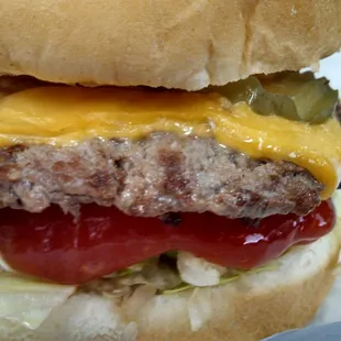 burger, burgers, food