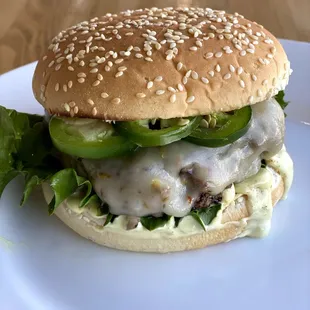 burger, food, burgers