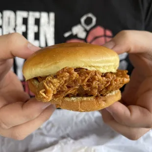 a person holding a pulled pork sandwich