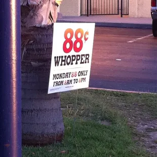 Can't Bet this Deal! Taken By Tina F